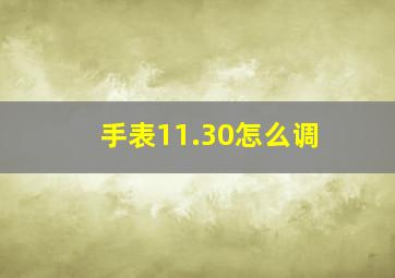 手表11.30怎么调