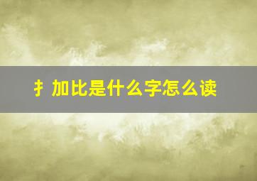 扌加比是什么字怎么读