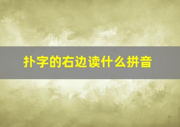 扑字的右边读什么拼音