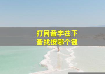 打同音字往下查找按哪个键