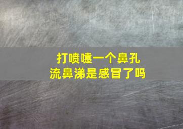 打喷嚏一个鼻孔流鼻涕是感冒了吗