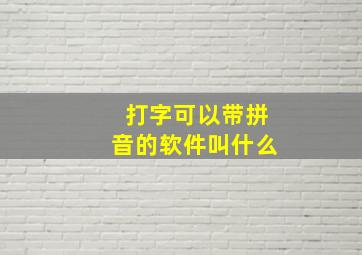 打字可以带拼音的软件叫什么