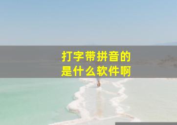 打字带拼音的是什么软件啊