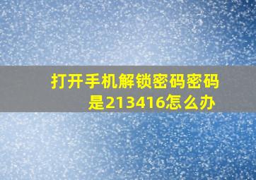 打开手机解锁密码密码是213416怎么办