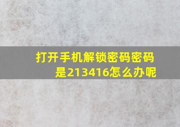 打开手机解锁密码密码是213416怎么办呢