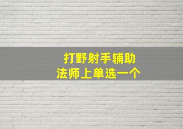 打野射手辅助法师上单选一个