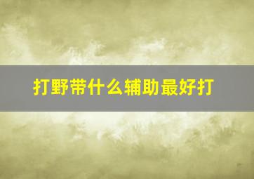 打野带什么辅助最好打