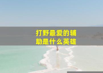 打野最爱的辅助是什么英雄