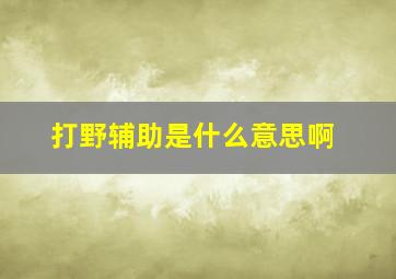 打野辅助是什么意思啊