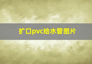 扩口pvc给水管图片