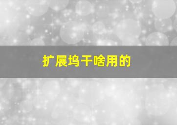 扩展坞干啥用的