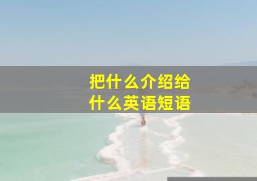 把什么介绍给什么英语短语