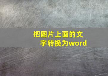 把图片上面的文字转换为word