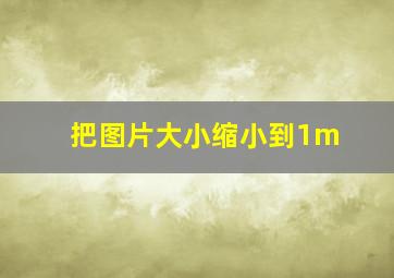 把图片大小缩小到1m