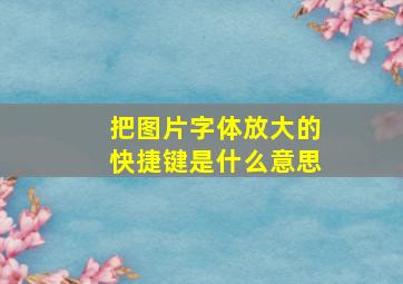 把图片字体放大的快捷键是什么意思