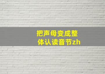 把声母变成整体认读音节zh