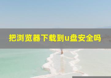 把浏览器下载到u盘安全吗