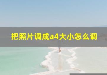 把照片调成a4大小怎么调