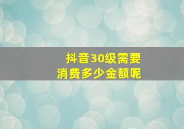 抖音30级需要消费多少金额呢