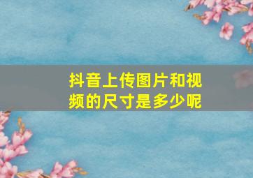 抖音上传图片和视频的尺寸是多少呢