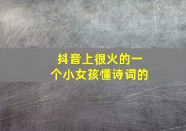 抖音上很火的一个小女孩懂诗词的