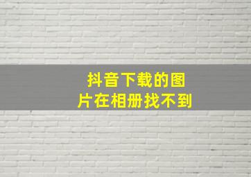 抖音下载的图片在相册找不到