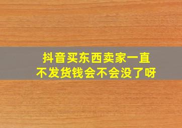 抖音买东西卖家一直不发货钱会不会没了呀