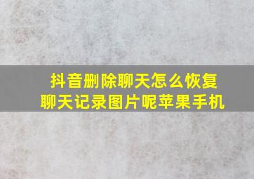 抖音删除聊天怎么恢复聊天记录图片呢苹果手机