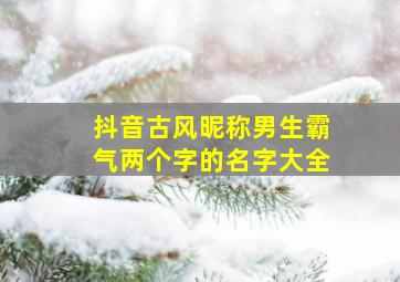 抖音古风昵称男生霸气两个字的名字大全