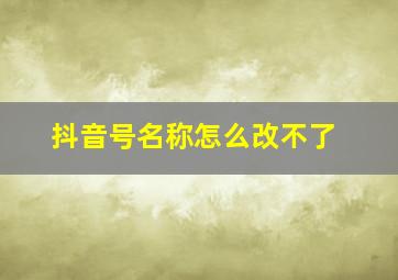 抖音号名称怎么改不了