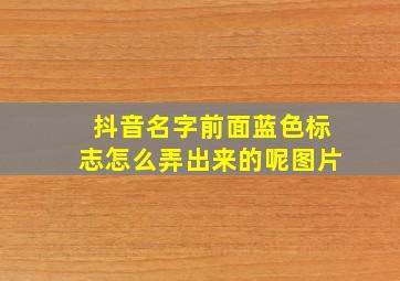 抖音名字前面蓝色标志怎么弄出来的呢图片