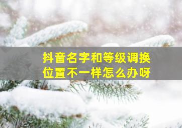 抖音名字和等级调换位置不一样怎么办呀