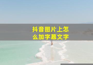 抖音图片上怎么加字幕文字