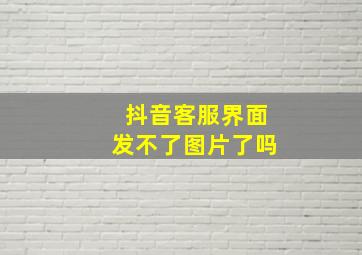 抖音客服界面发不了图片了吗