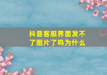 抖音客服界面发不了图片了吗为什么