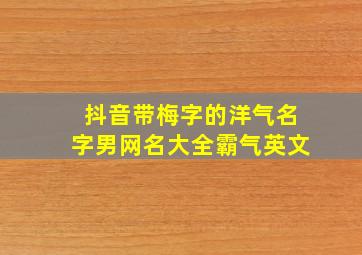 抖音带梅字的洋气名字男网名大全霸气英文