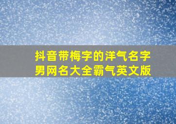 抖音带梅字的洋气名字男网名大全霸气英文版