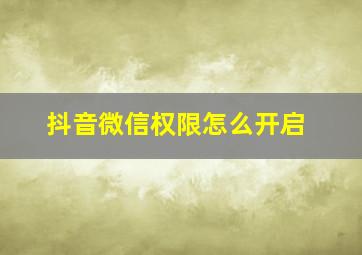 抖音微信权限怎么开启