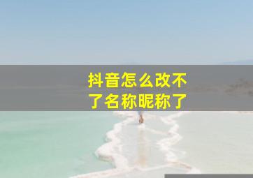 抖音怎么改不了名称昵称了