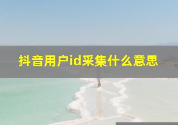 抖音用户id采集什么意思