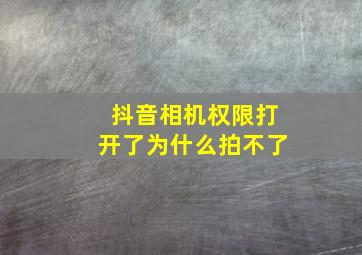 抖音相机权限打开了为什么拍不了