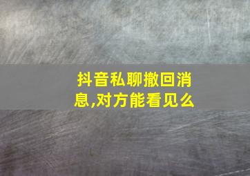 抖音私聊撤回消息,对方能看见么