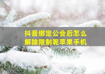 抖音绑定公会后怎么解除限制呢苹果手机