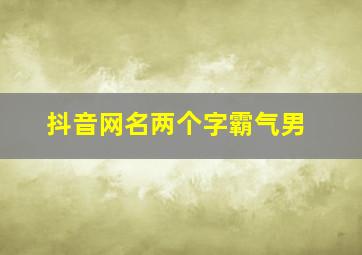 抖音网名两个字霸气男