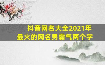 抖音网名大全2021年最火的网名男霸气两个字