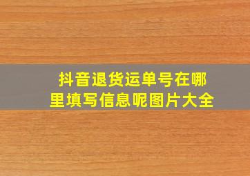 抖音退货运单号在哪里填写信息呢图片大全