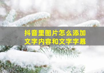 抖音里图片怎么添加文字内容和文字字幕