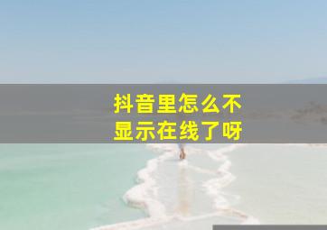 抖音里怎么不显示在线了呀