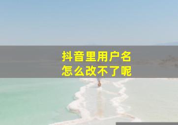 抖音里用户名怎么改不了呢