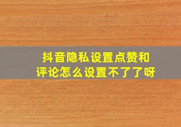 抖音隐私设置点赞和评论怎么设置不了了呀